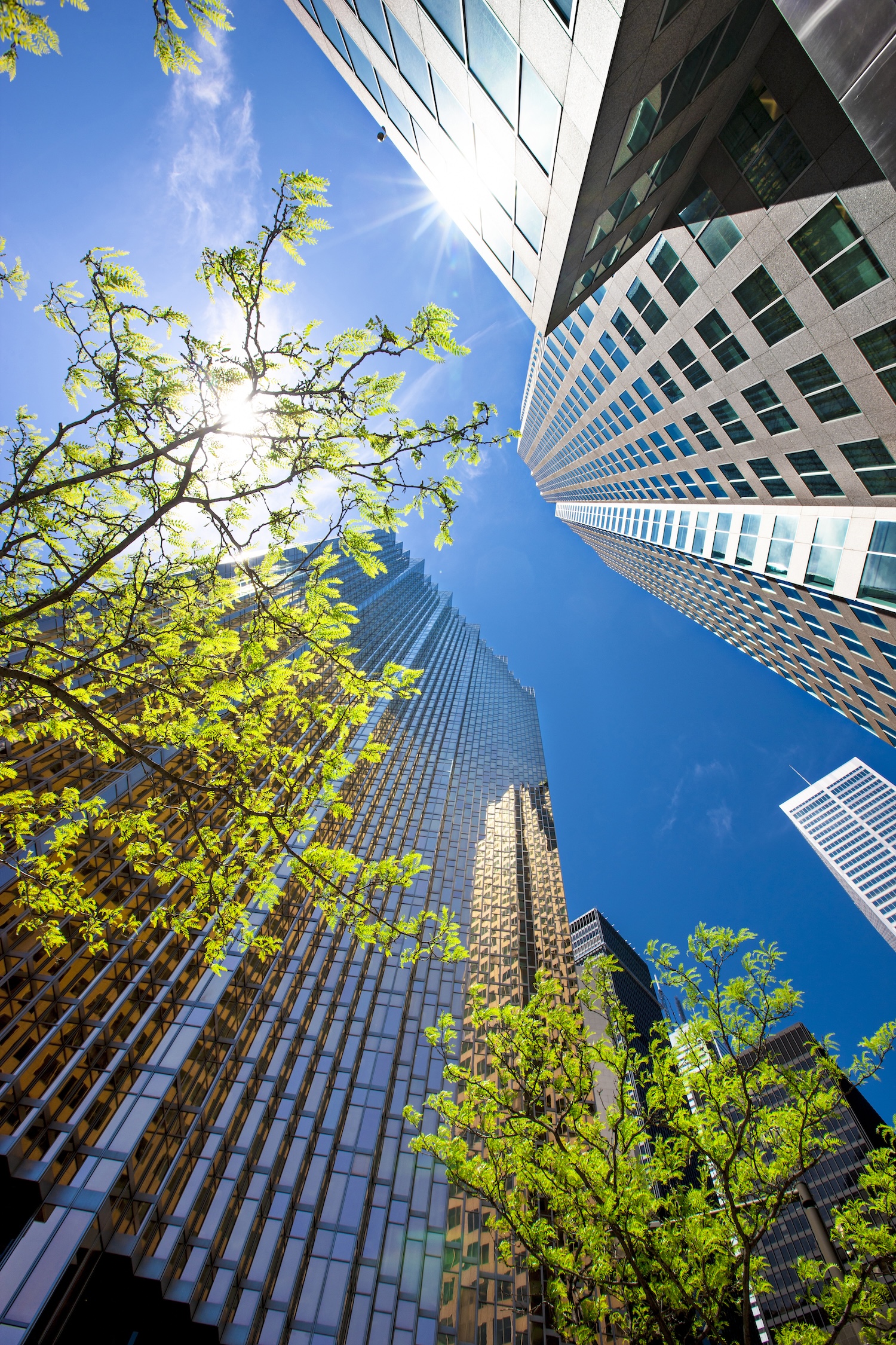 Buildings in Toronto - Ontario - Canada